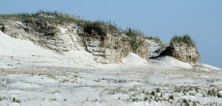 Dünenlandschaft