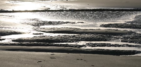 Wattenmeer im Gegenlicht
